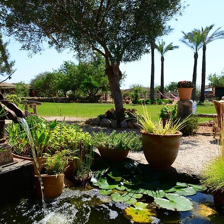 Agroturismo Finca Sant Blai Campos  Exteriér fotografie