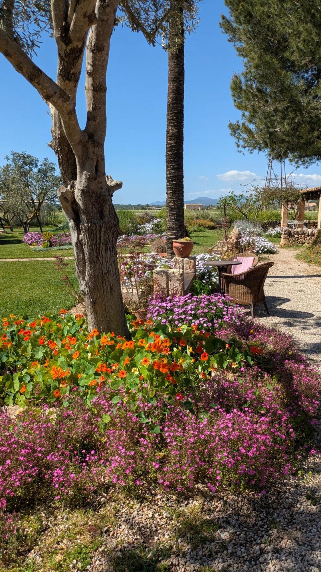 Agroturismo Finca Sant Blai Campos  Exteriér fotografie
