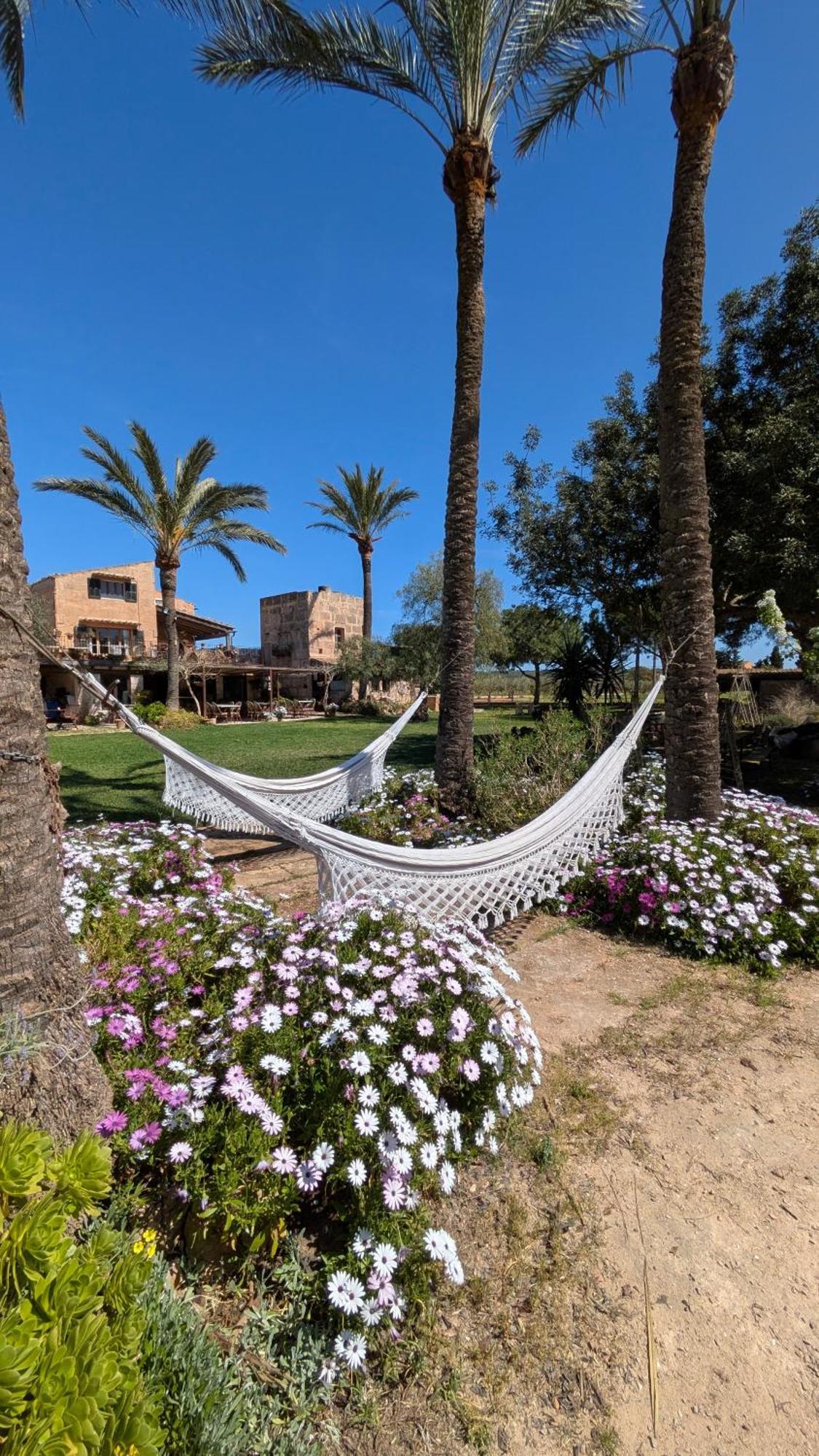 Agroturismo Finca Sant Blai Campos  Exteriér fotografie