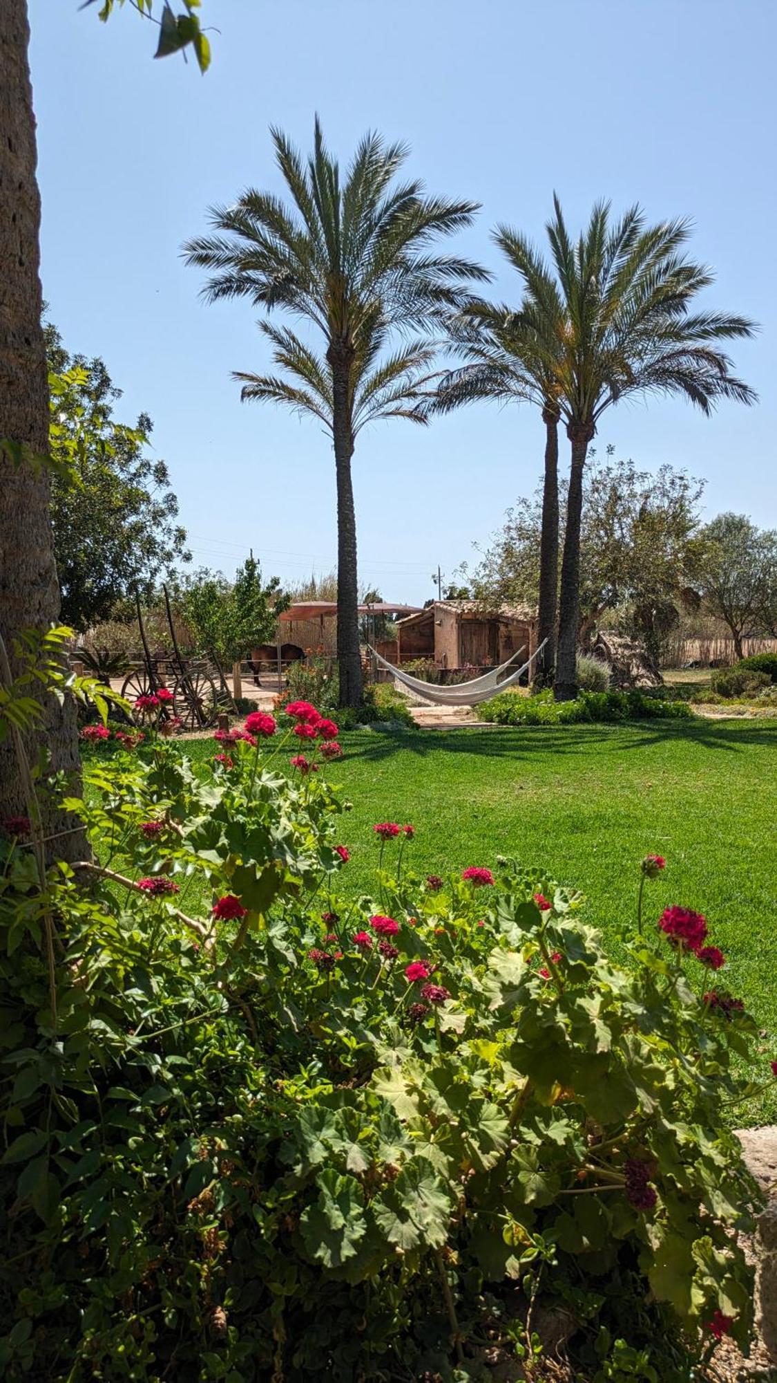 Agroturismo Finca Sant Blai Campos  Exteriér fotografie