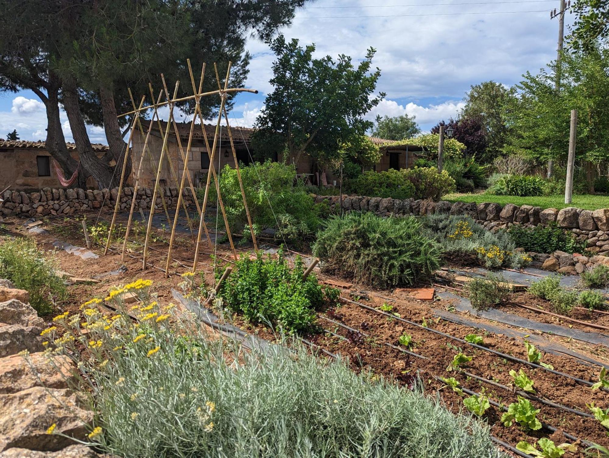 Agroturismo Finca Sant Blai Campos  Exteriér fotografie
