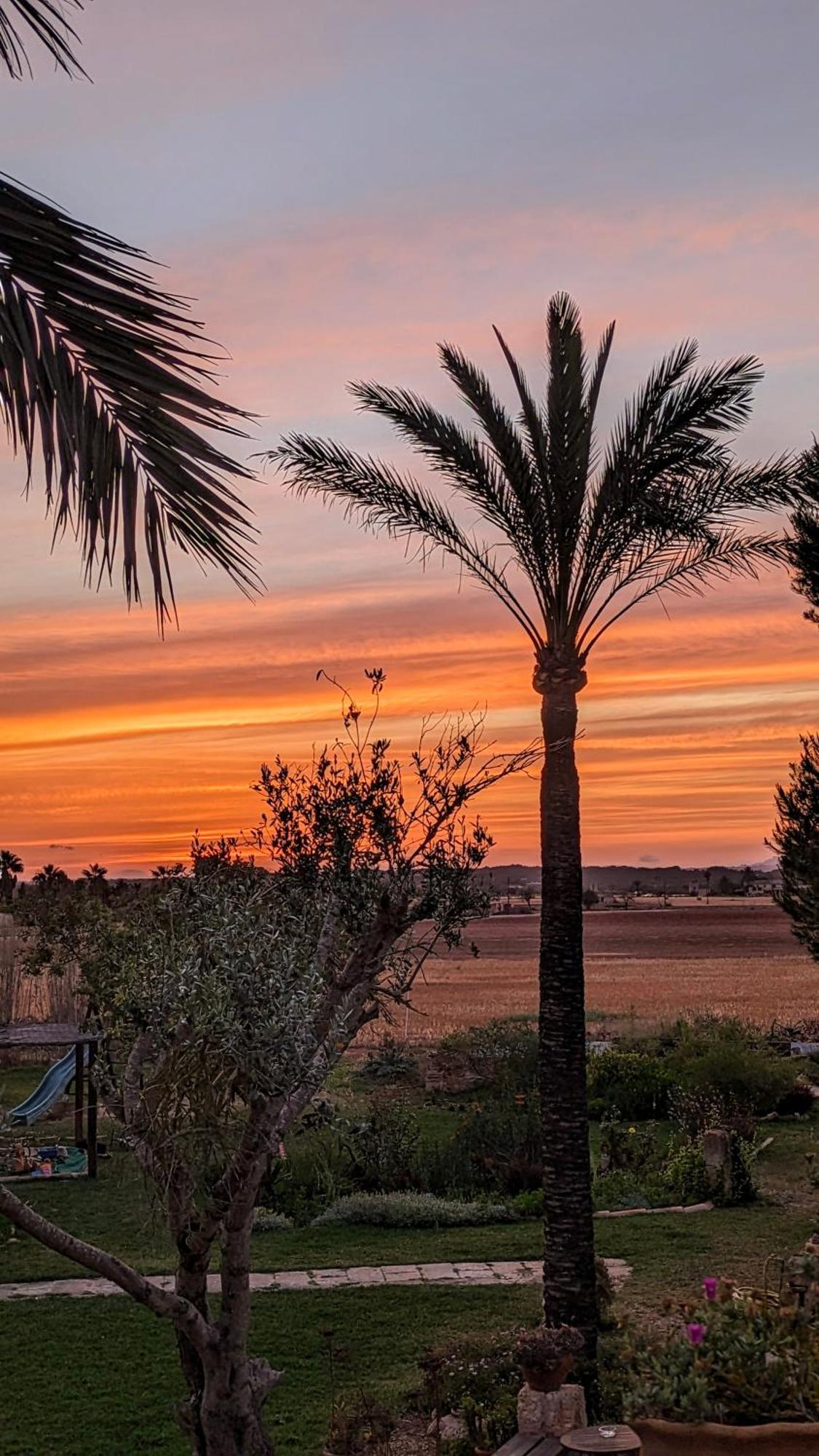 Agroturismo Finca Sant Blai Campos  Exteriér fotografie
