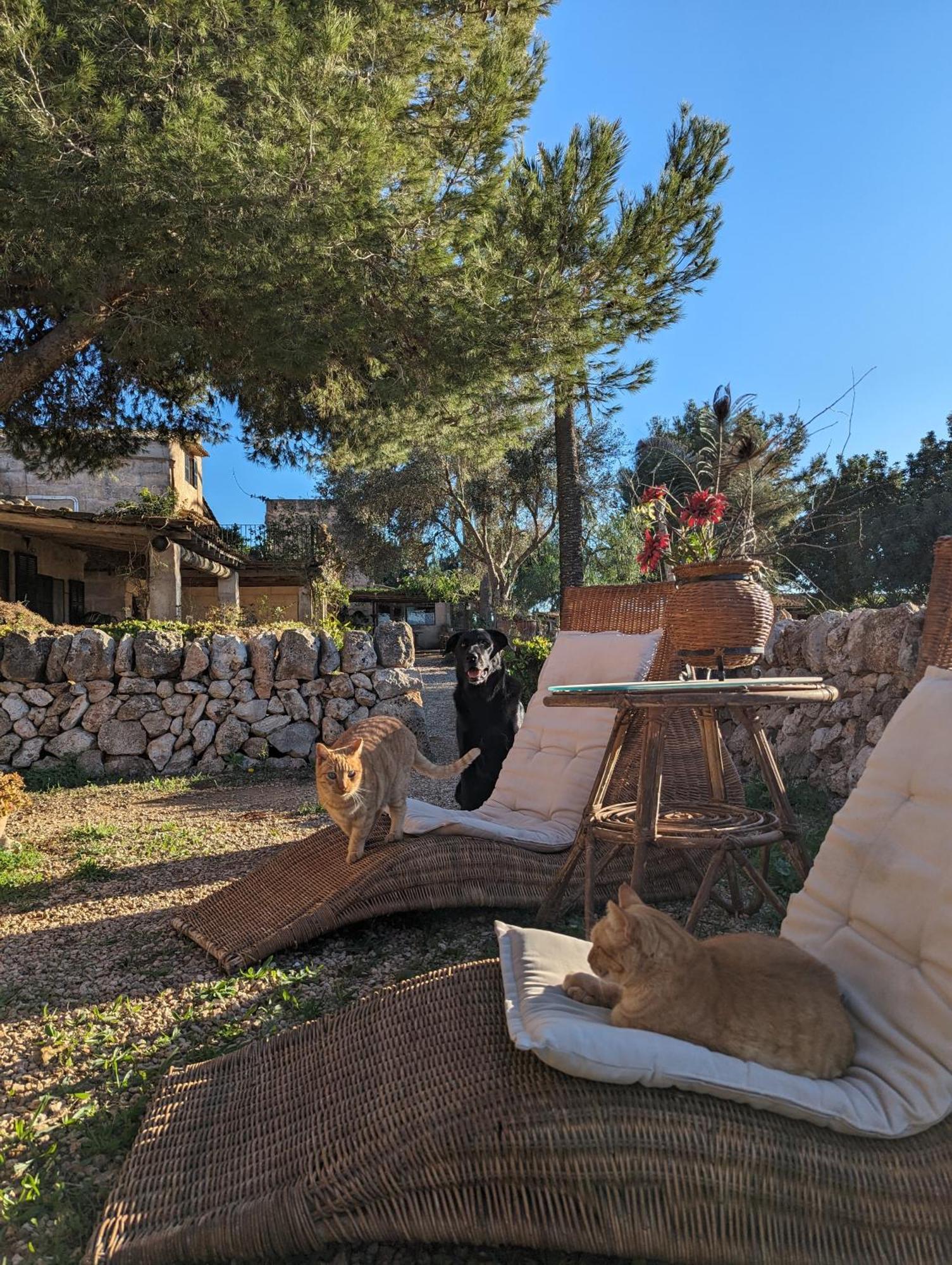 Agroturismo Finca Sant Blai Campos  Exteriér fotografie