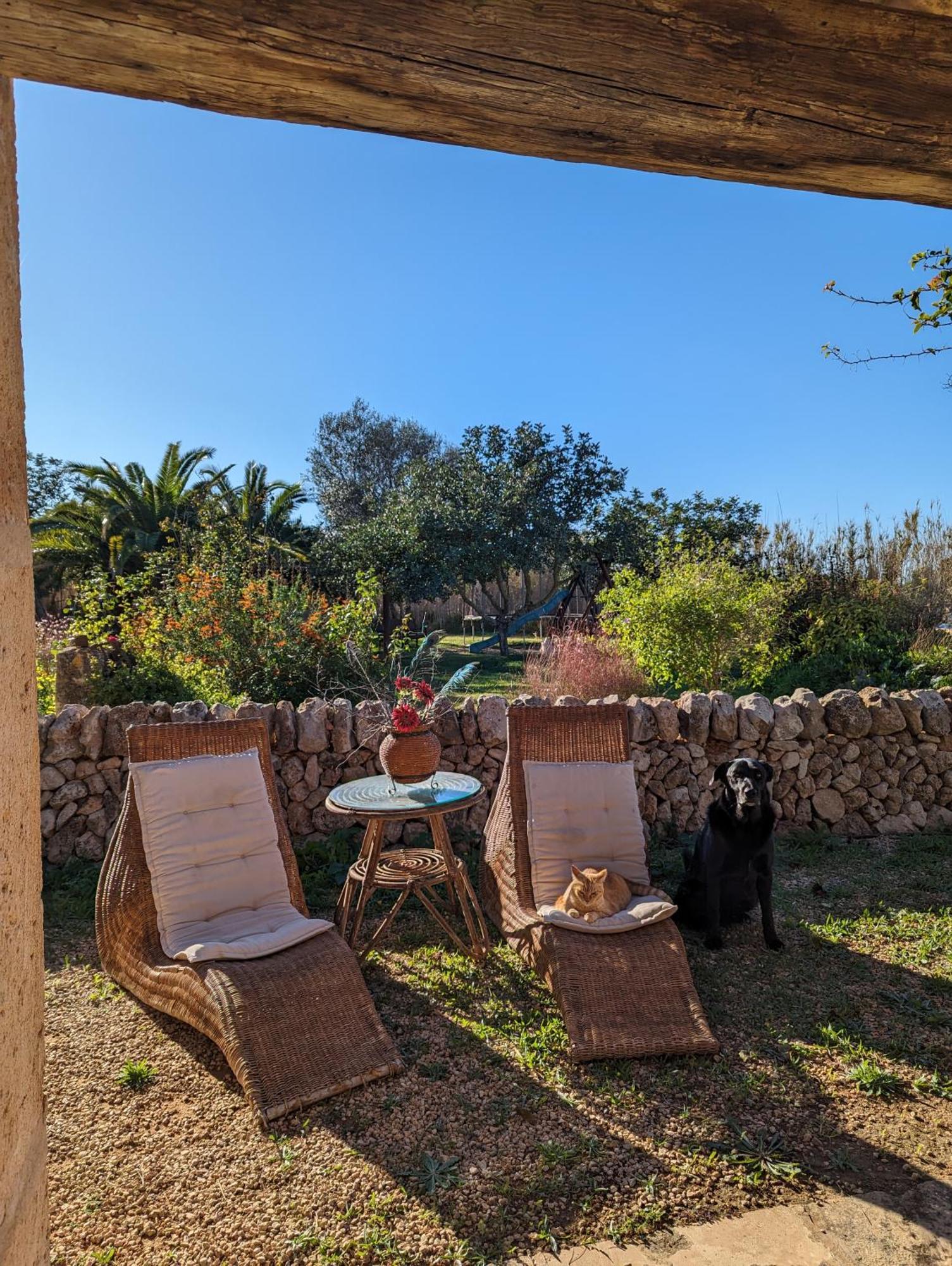 Agroturismo Finca Sant Blai Campos  Exteriér fotografie